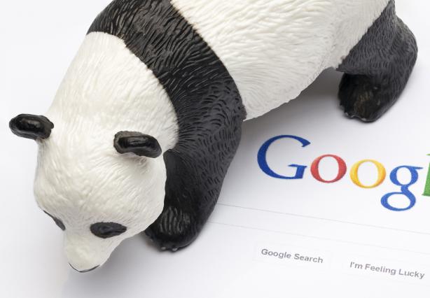 Main image for A History of Google Panda article