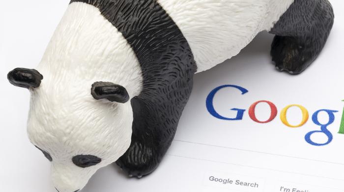 Thumbnail image for A History of Google Panda